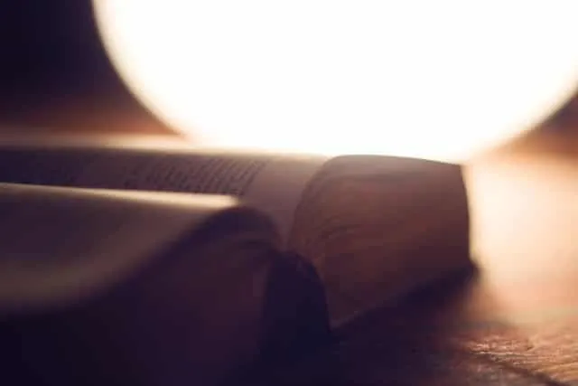 Characteristics of the Legal Translation
